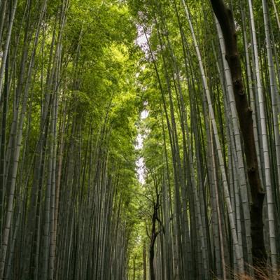 末日生存者2游戏下载